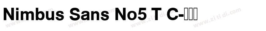 Nimbus Sans No5 T C字体转换